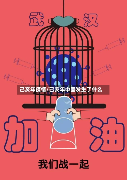 己亥年疫情/己亥年中国发生了什么