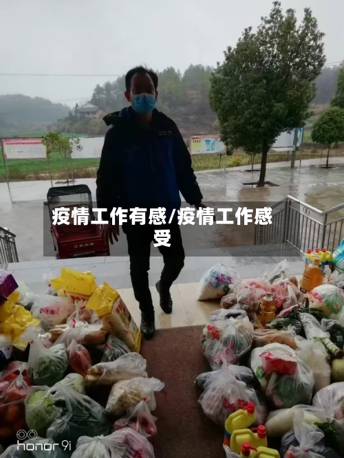 疫情工作有感/疫情工作感受