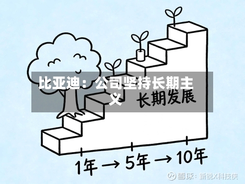 比亚迪：公司坚持长期主义