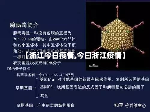 【浙江今日疫情,今曰浙江疫情】