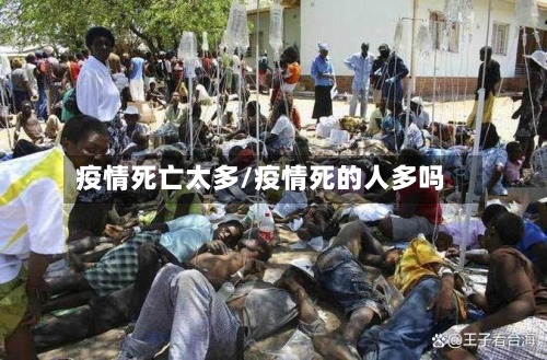 疫情死亡太多/疫情死的人多吗