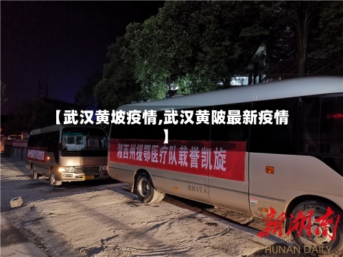 【武汉黄坡疫情,武汉黄陂最新疫情】