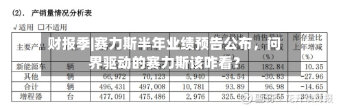 财报季|赛力斯半年业绩预告公布，问界驱动的赛力斯该咋看？