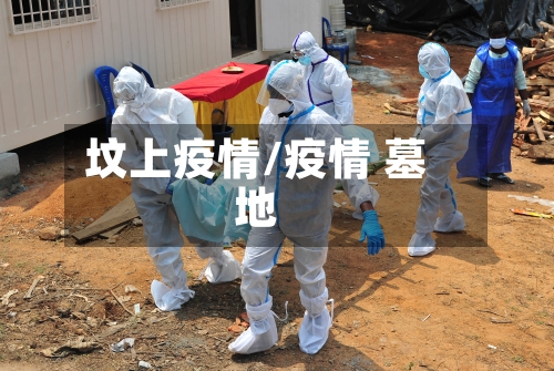 坟上疫情/疫情 墓地