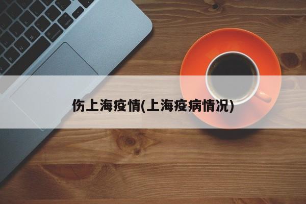 伤上海疫情(上海疫病情况)