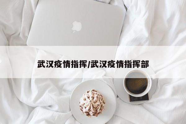 武汉疫情指挥/武汉疫情指挥部