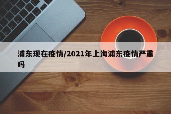 浦东现在疫情/2021年上海浦东疫情严重吗