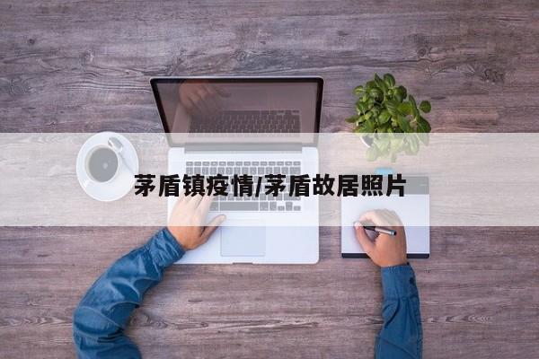 茅盾镇疫情/茅盾故居照片